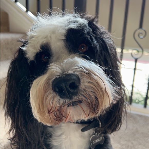 Meet your Posher, Kelli - Picture 1 of 1